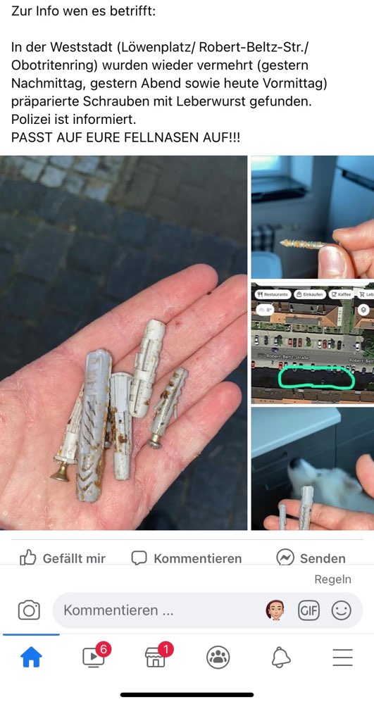 Giftköder-Schrauben mit Leberwurst Präpariert.-Profilbild