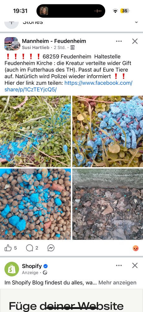 Giftköder-Giftköder-Profilbild