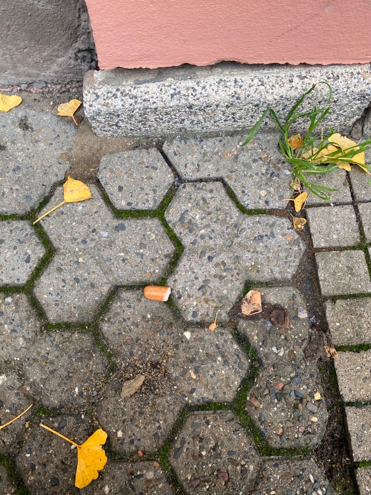 Giftköder-Ein Würstchen Stück-Profilbild