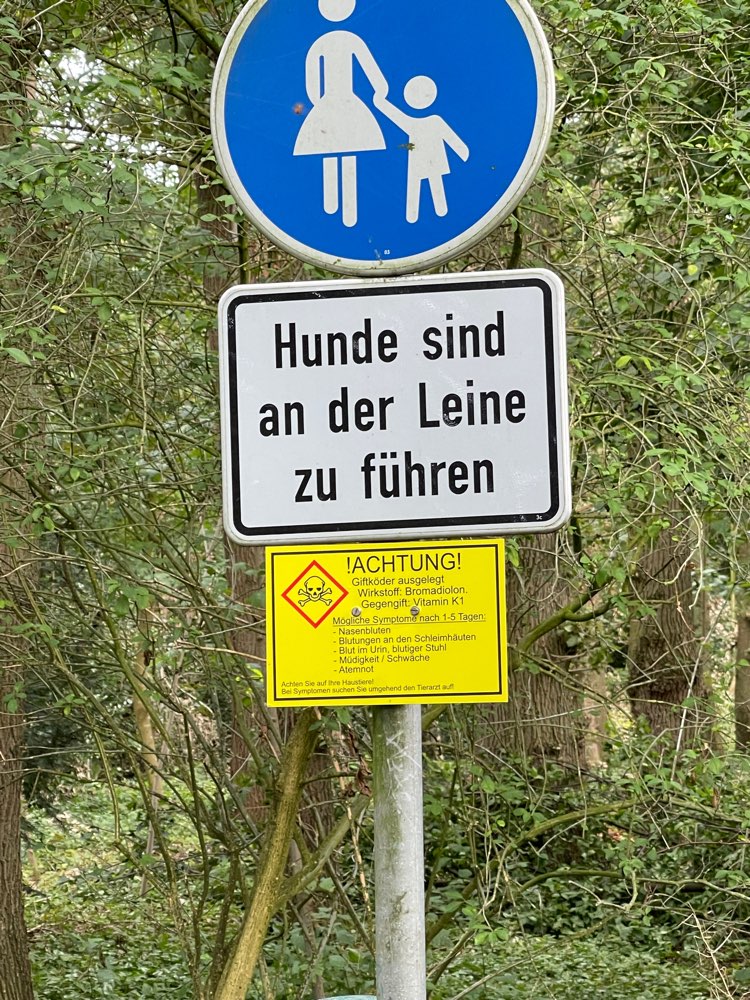Giftköder-Giftköder-Profilbild
