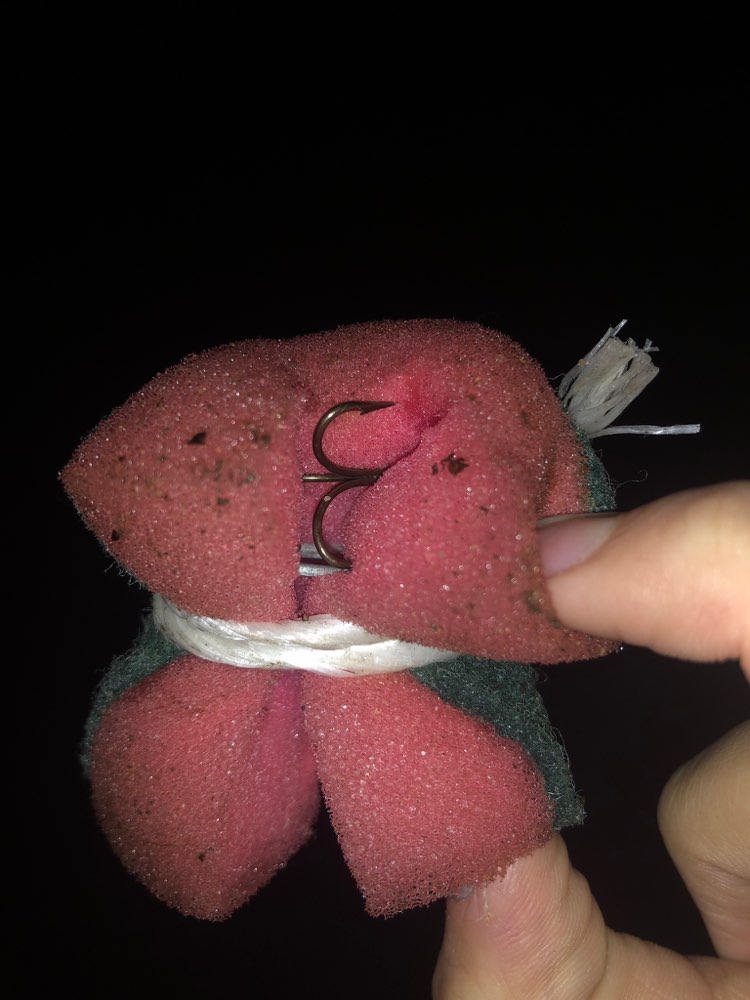 Giftköder-Giftköder-Profilbild