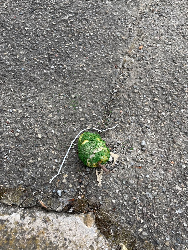 Giftköder-Möglicher Giftköder-Profilbild