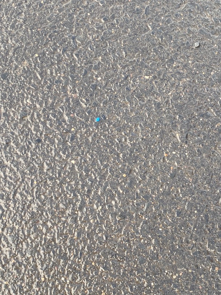 Giftköder-Blaukorn Dünger-Profilbild