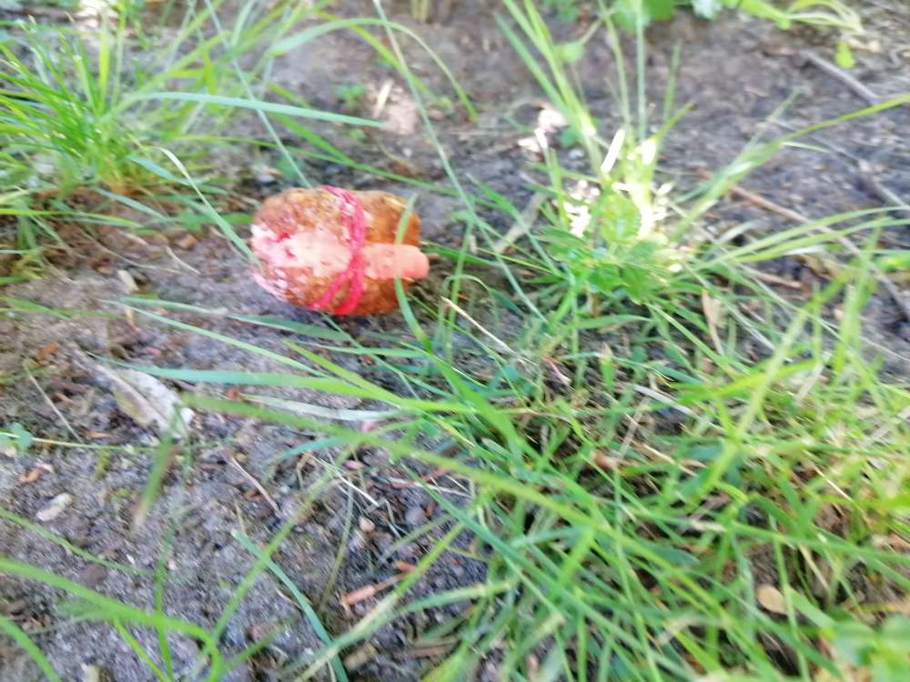 Giftköder-Giftköder-Profilbild