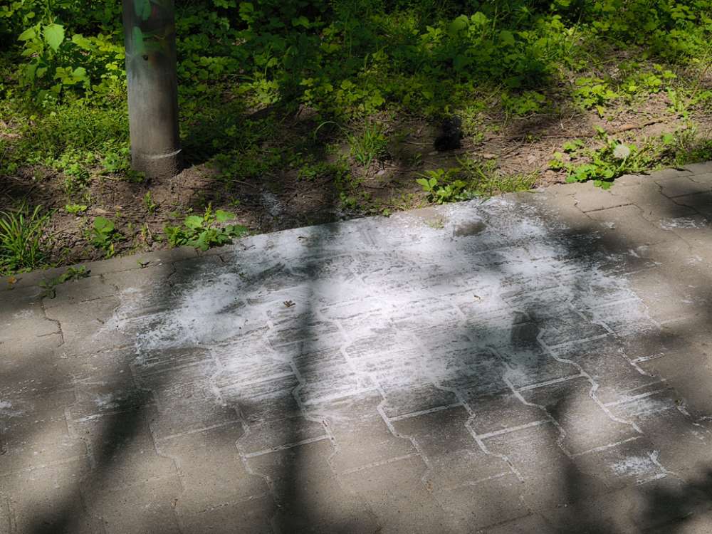 Giftköder-Weißes Pulver auf Gehweg-Profilbild