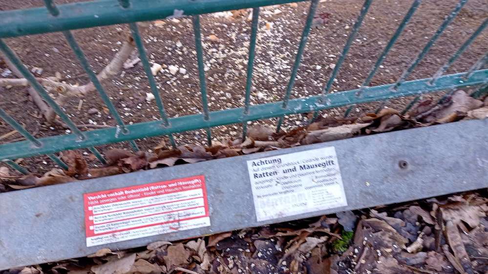 Giftköder-Rattengift in Box-Profilbild