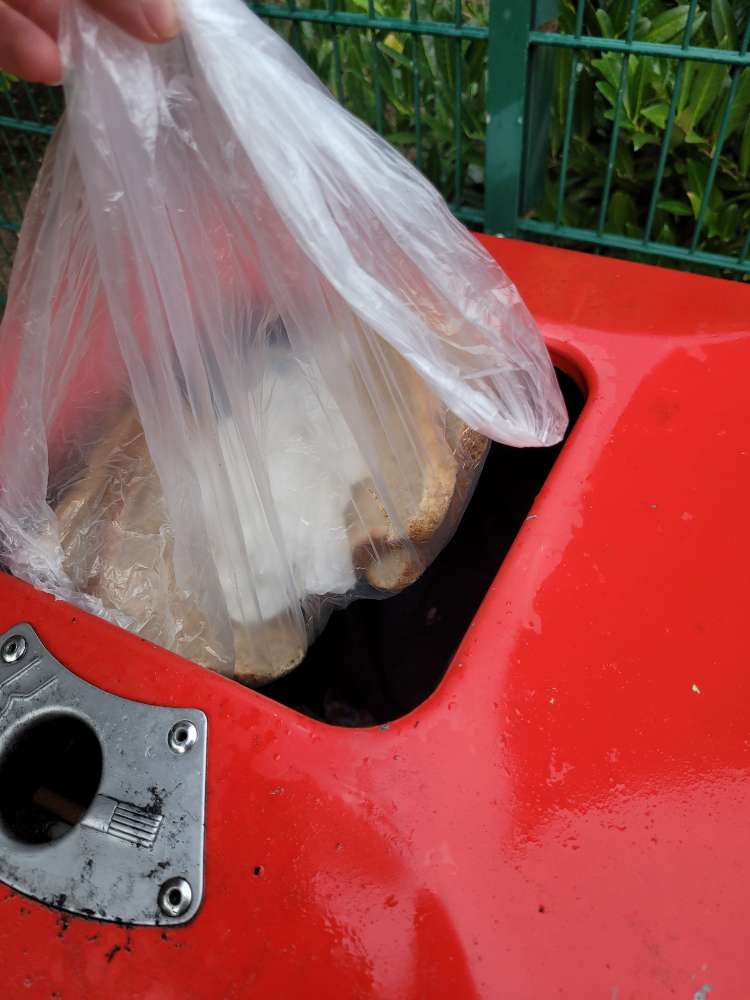 Giftköder-Vermutlich Giftköder-Profilbild