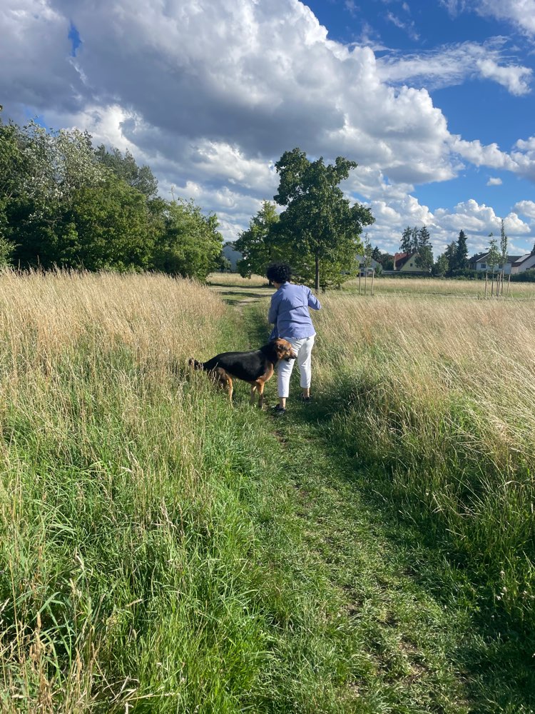 Giftköder-Aggressiver Hund! Beißattacke-Profilbild
