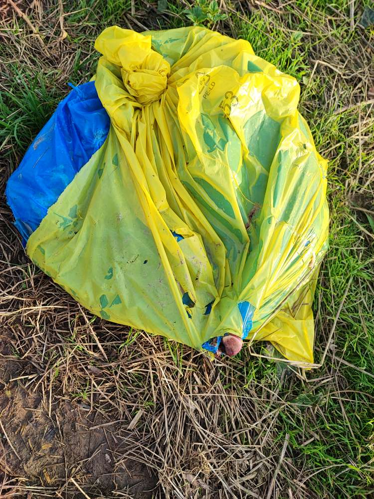 Giftköder-Tier im Müllsack/ wurde entsorgt.-Profilbild