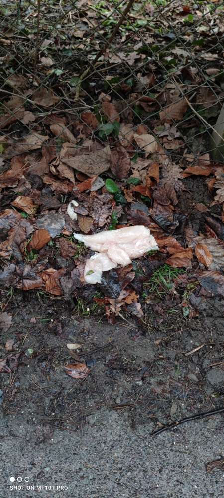 Giftköder-Möglicherweise "Giftköder"-Profilbild