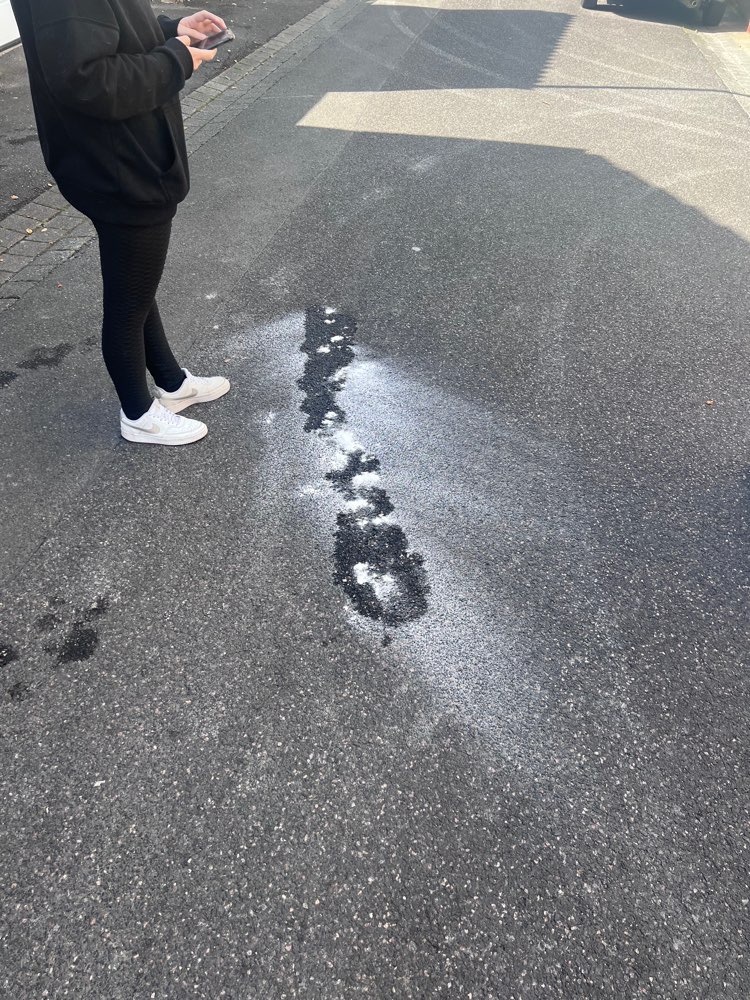 Giftköder-Weißes Pulver(Chlor / chemische Mittel)-Profilbild