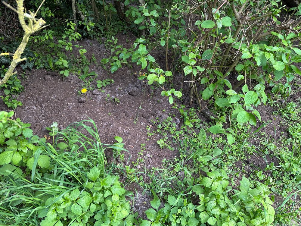 Giftköder-Möglicherweise giftiger Dünger-Profilbild