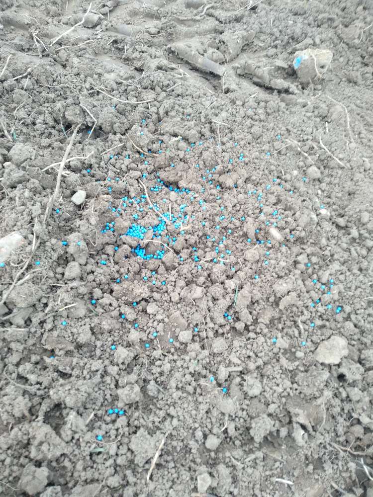 Giftköder-Giftiges Düngemittel-Profilbild