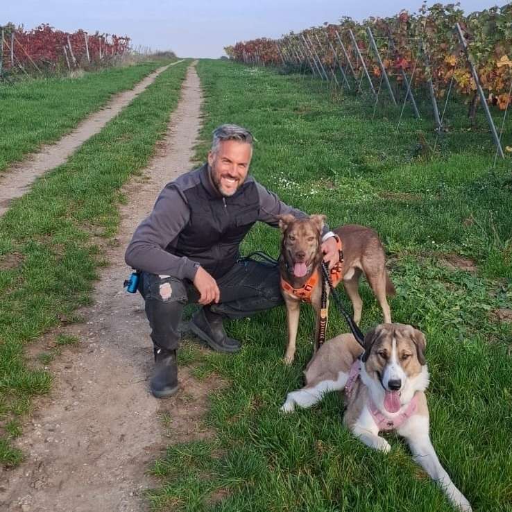 Hundetreffen-Gassigehen / Socialwalk-Profilbild