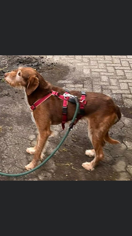 Suchmeldung-Era-Profilbild