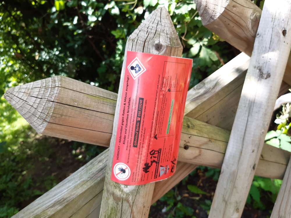 Giftköder-Rattengiftköder-Profilbild