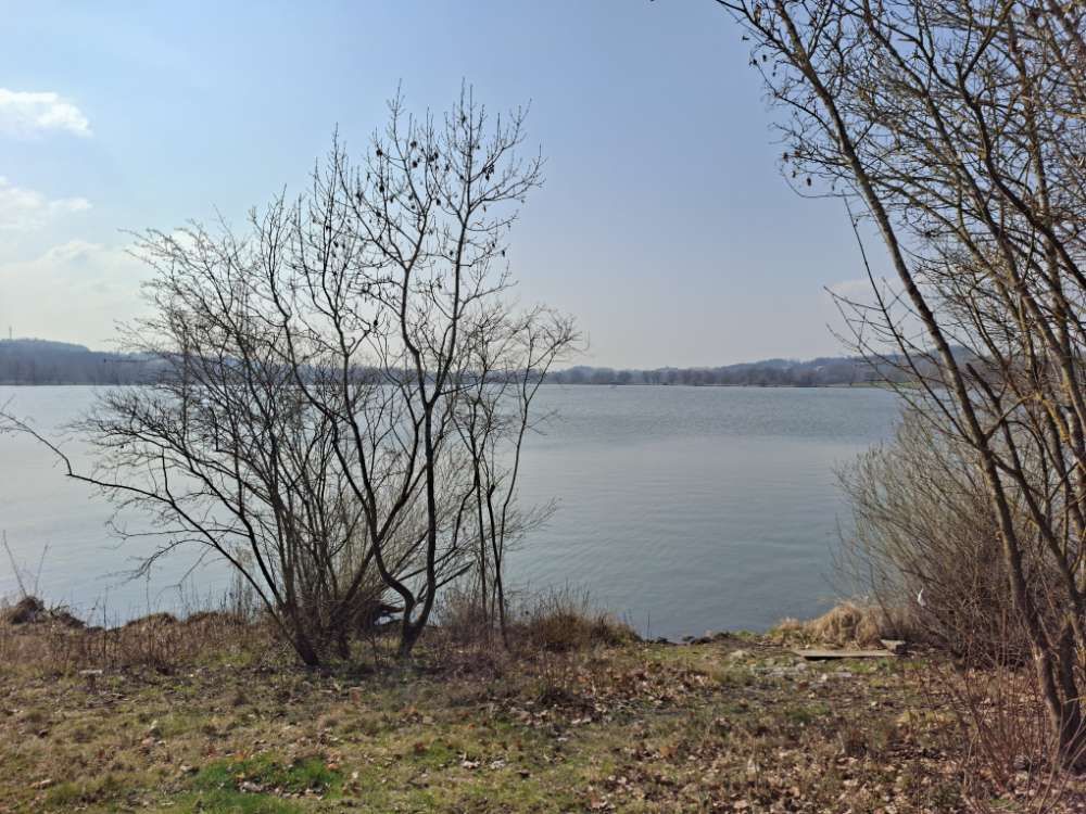 Hundetreffen-Rottauensee: Rundwanderung mit Hunden-Profilbild