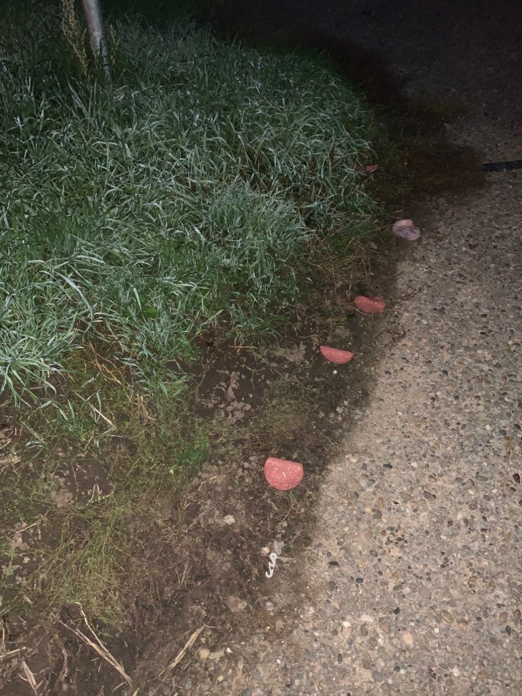 Giftköder-Verdächtige Wustscheiben ausgelegt-Profilbild