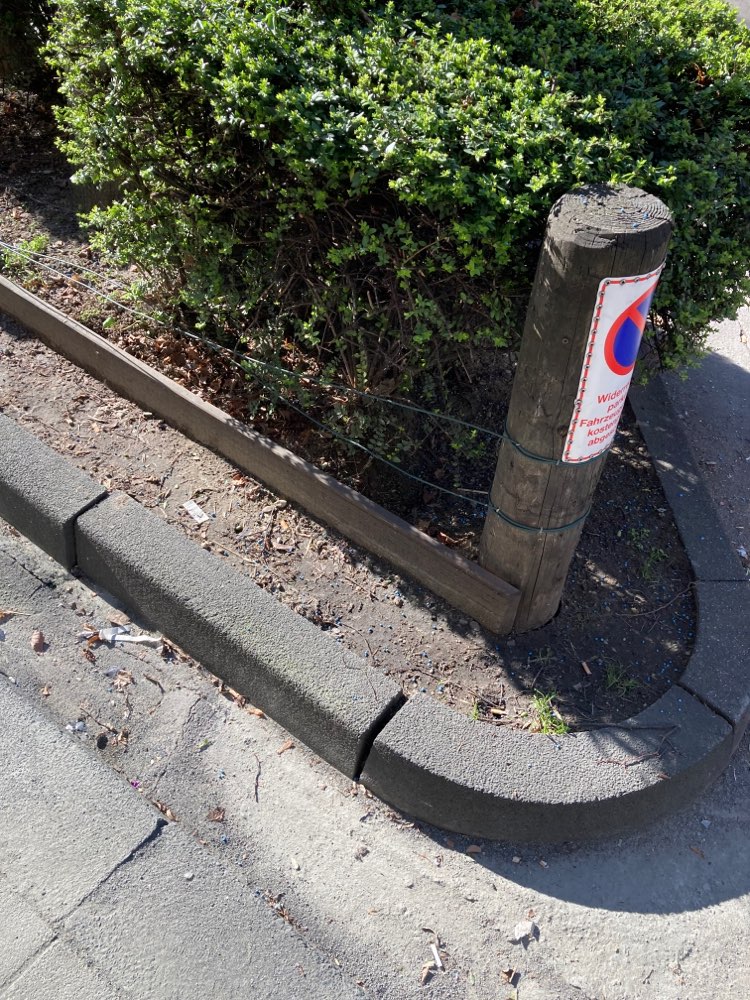 Giftköder-Blaue Kugeln-Profilbild