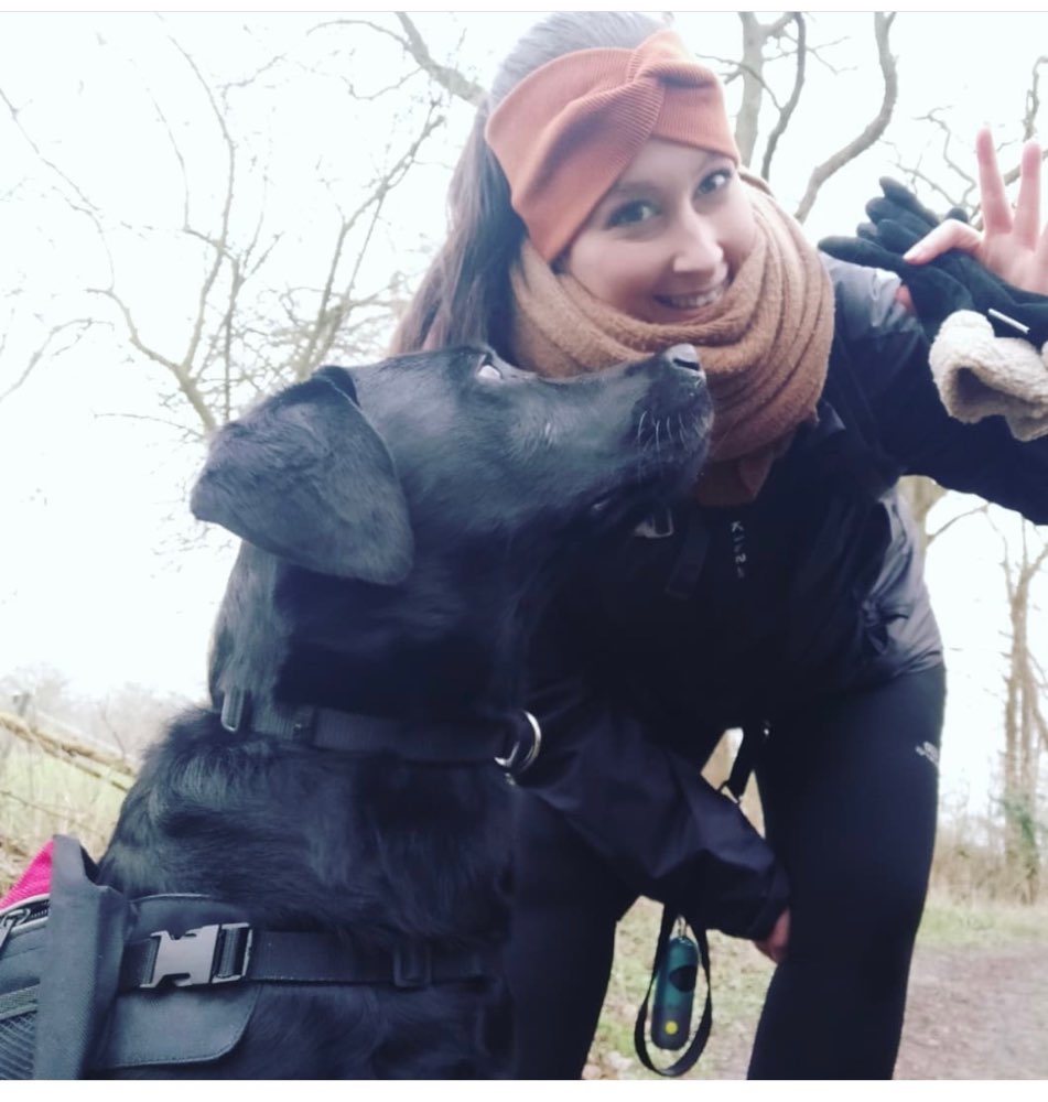 Hundetreffen-Trainings- und Spaziergehpartner gesucht-Profilbild