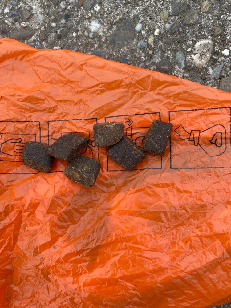 Giftköder-Hundefutter?!-Profilbild