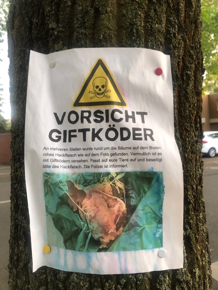 Giftköder-Giftköder Warnung (Aushang)-Profilbild