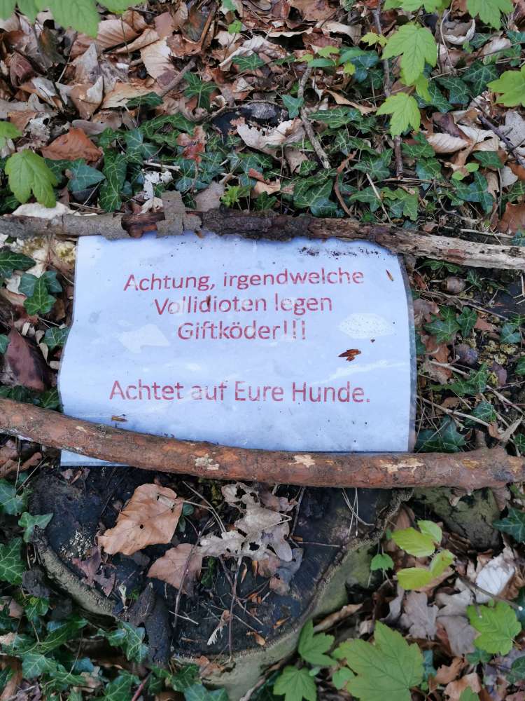 Giftköder-Giftköder-Profilbild