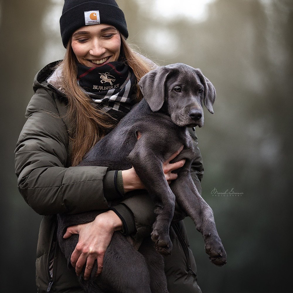 Hundetreffen-Welpentreffen-Profilbild