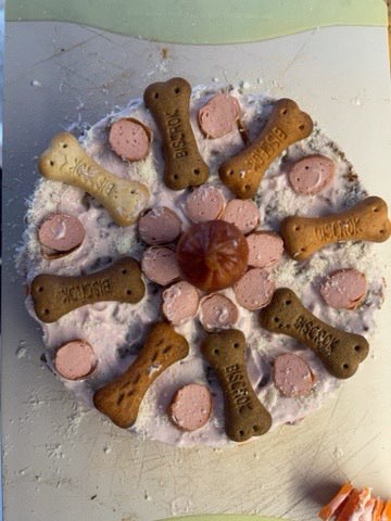 Hundetreffen-Hundegeburtstag-Profilbild