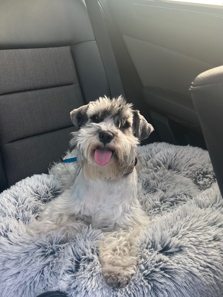 Zunge raus 😛 Banner