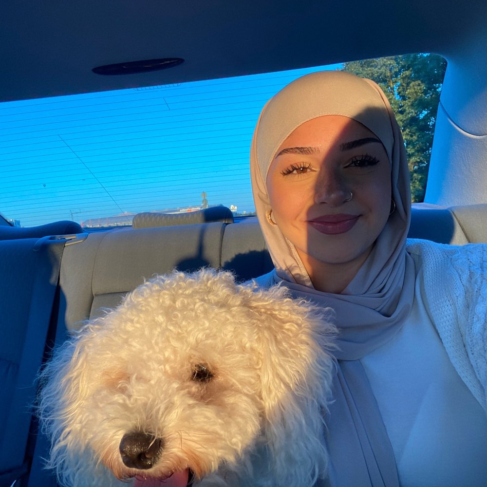 Hundetreffen-Tagesbetreuung-Profilbild