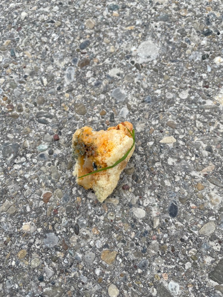 Giftköder-Eventuel Giftköder-Profilbild