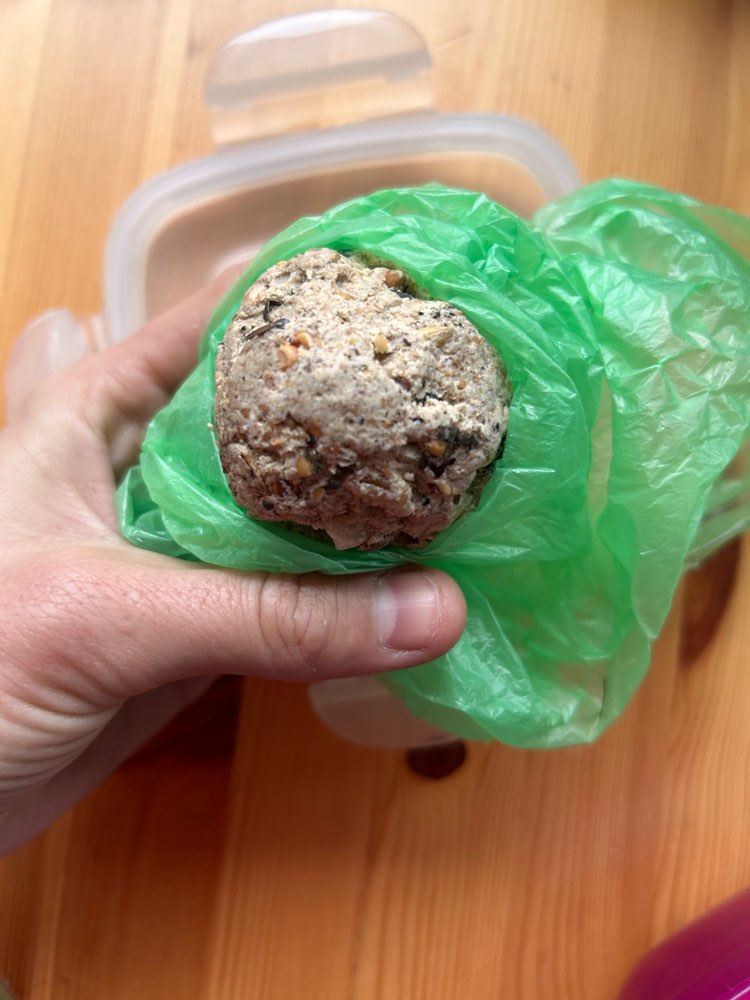 Giftköder-Meisenknödel/ möglicherweise Giftköder-Profilbild