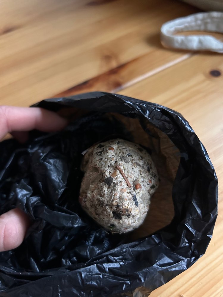 Giftköder-Mögliche Giftköder in Meisenknödel-Profilbild