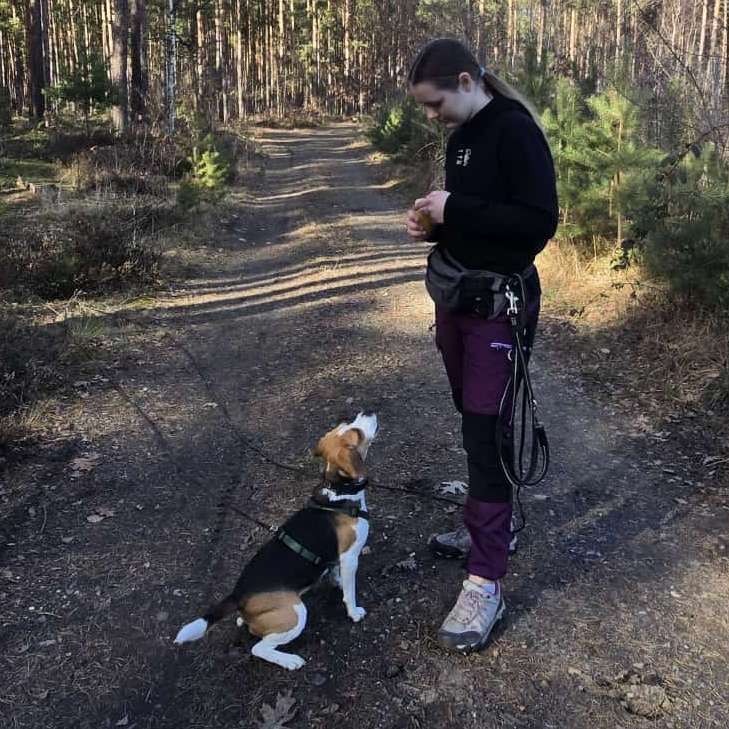 Hundetreffen-Gassirunde-Profilbild