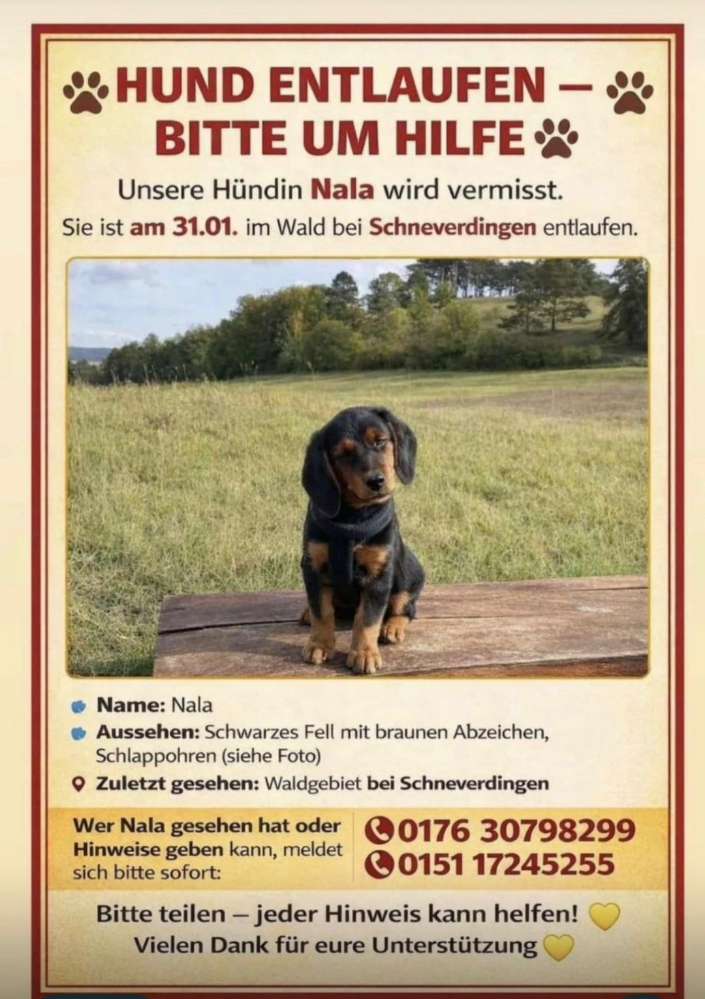 Suchmeldung-Nala-Profilbild