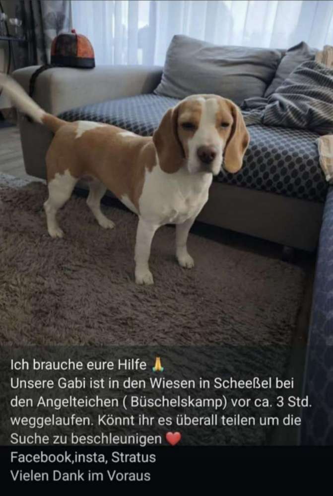 Suchmeldung-Gabi-Profilbild