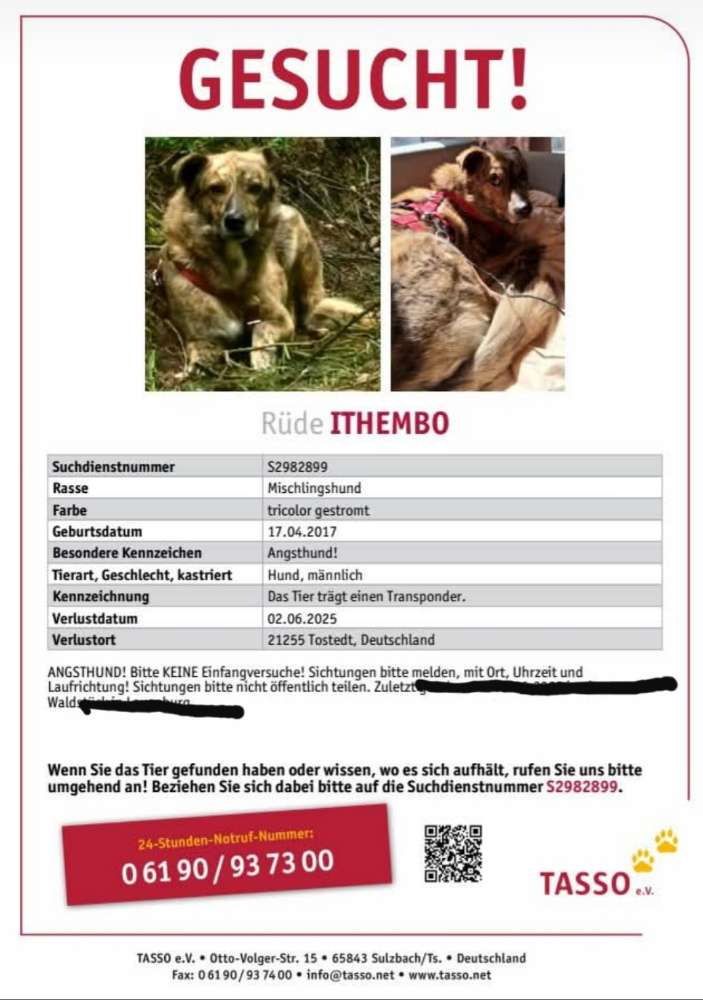 Suchmeldung-Ithembo-Profilbild