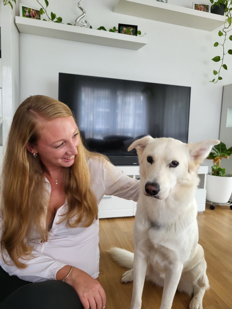 Hundetreffen-Gassirunde in Nied-Profilbild