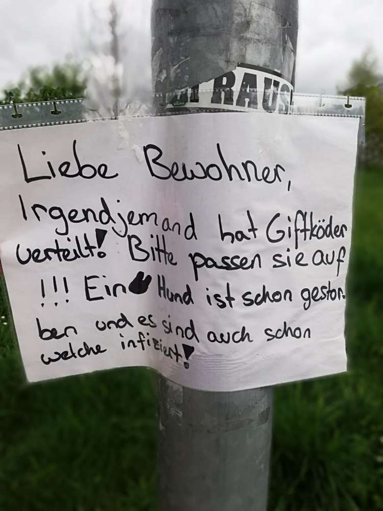 Giftköder-Giftköder-Profilbild