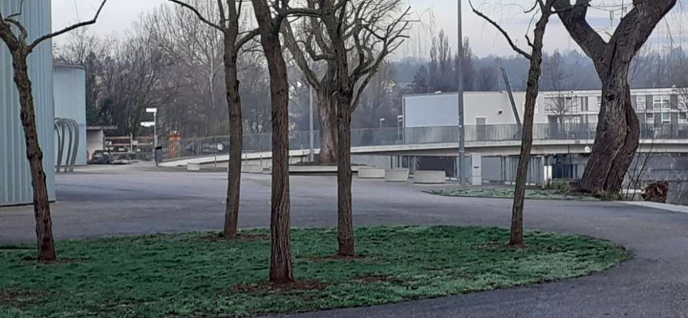 Giftköder-Wurst evtl. Giftköder-Profilbild