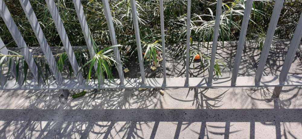 Giftköder-Möglicher Giftköder-Profilbild