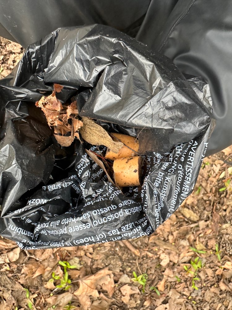 Giftköder-Eventuell Giftköder-Profilbild