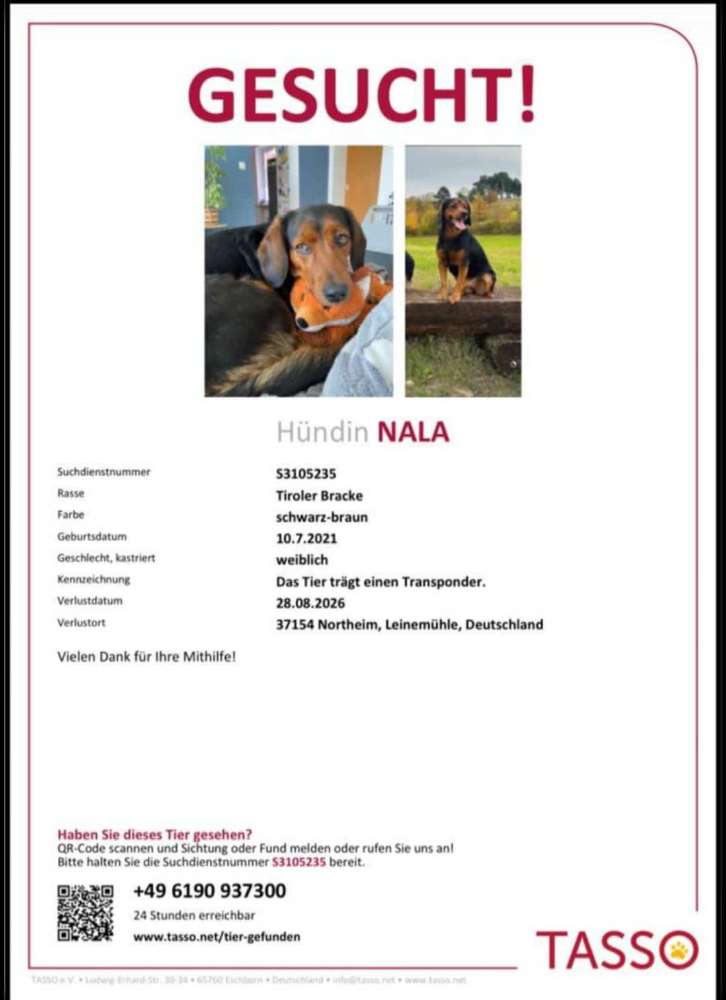 Suchmeldung-Nala-Profilbild