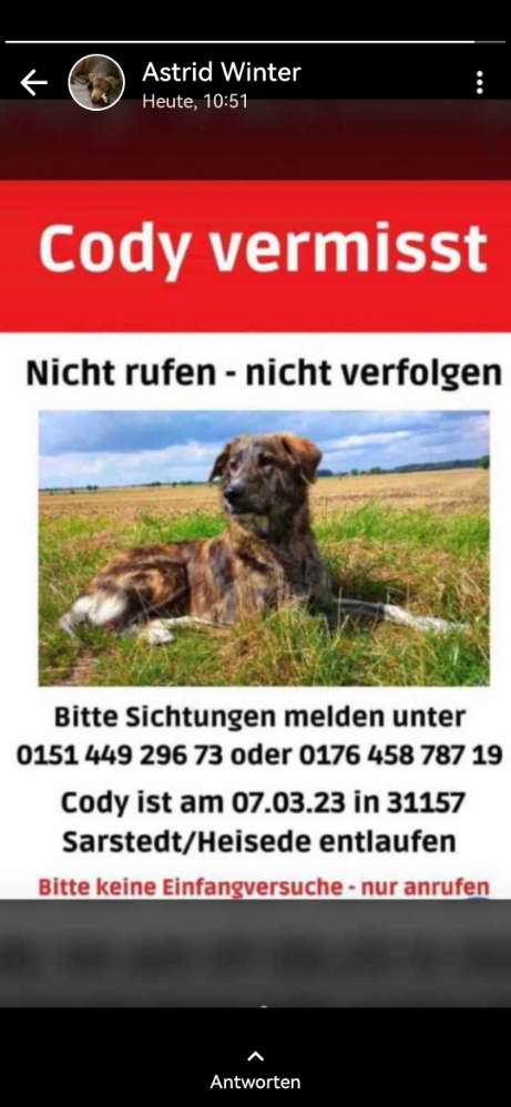 Suchmeldung-Cody-Profilbild