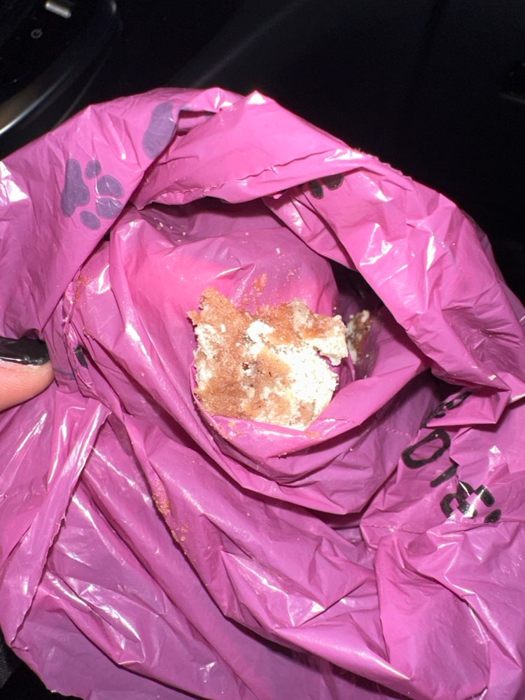 Giftköder-Evtl. Giftköder-Profilbild