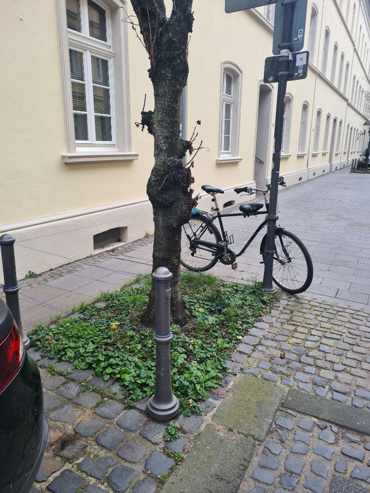 Giftköder-Wurststücke in Blumenbeet-Profilbild