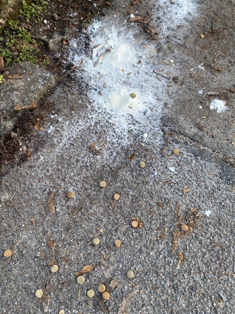 Giftköder-Giftköder weisses Pulver-Profilbild