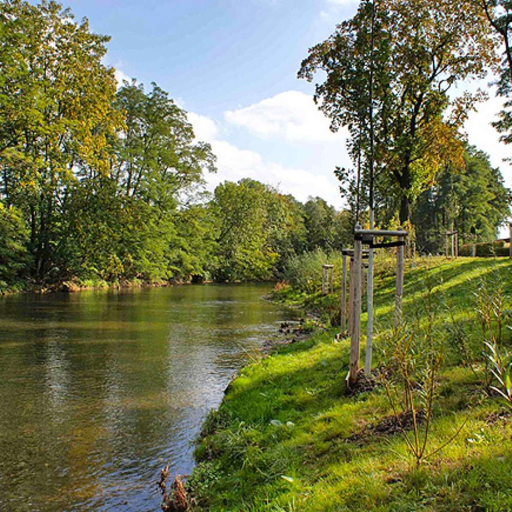 Hundetreffen-Ein Spaziergang in Park/am Fluss-Profilbild