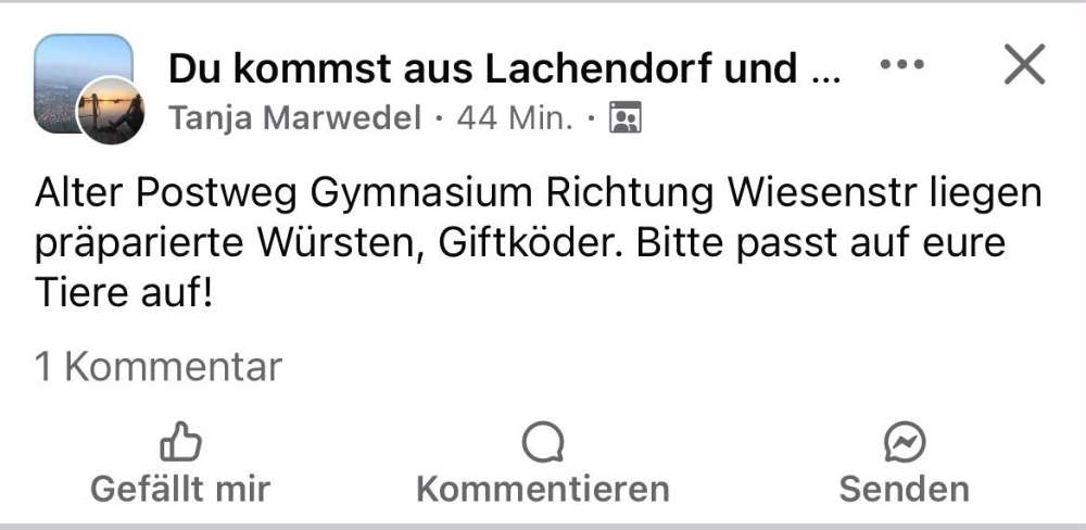 Giftköder-Giftköder Würstchen-Profilbild